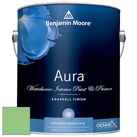 Benjamin Moore Aura 524 Waterborne Interior Eggshell Finish краска цвет NCS S 1050-G20Y 