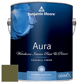 Benjamin Moore Aura 524 Waterborne Interior Eggshell Finish краска цвет NCS S 5540-G50Y 