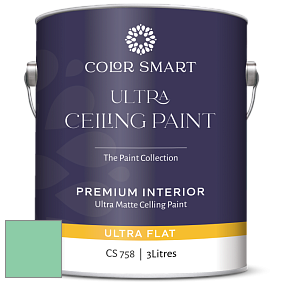 COLOR SMART CS 758 ULTRA CEILING PAINT ультраматовая краска цвет NCS S 1040-G 