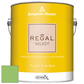 Benjamin Moore 547 Regal Select Waterborne Interior Flat Finish краска цвет 558 Killala Green
