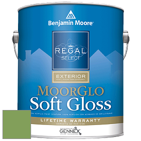 Benjamin Moore W096 Regal Select Exterior Paint-Moor GloSoft Gloss Finish краска цвет 552 Pleasant Grove