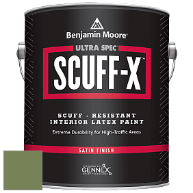 Benjamin Moore 486 Ultra Spec SCUFF-X Interior Satin Finish краска цвет 546 Courtyard Green