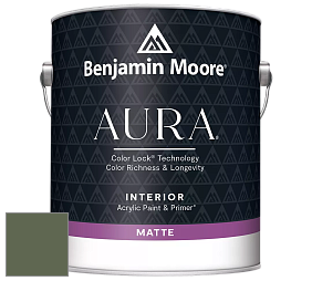 Benjamin Moore Aura 522 Interior Paint - Matte краска цвет 455 Sweet Basil
