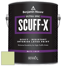 Benjamin Moore 484 Ultra Spec SCUFF-X Interior Matte Finish краска цвет 2029-50 Potpourri Green