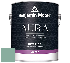 Benjamin Moore Aura 522 Interior Paint - Matte краска цвет 641 Everglades