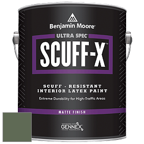 Benjamin Moore 484 Ultra Spec SCUFF-X Interior Matte Finish краска цвет HC-121 BM HC-121