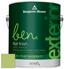 Benjamin Moore Ben 541 Waterborne Exterior Flat Finish краска цвет 2029-40 Stem Green