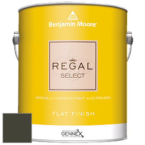 Benjamin Moore 547 Regal Select Waterborne Interior Flat Finish краска цвет RAL 6014 