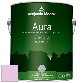 Benjamin Moore Aura 629 Waterborne Exterior Flat Finish краска цвет 2076-60 Dog's Ear