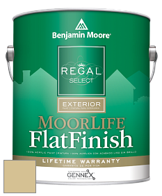 Benjamin Moore W105 Regal Select Exterior Paint-MoorLife Flat Finish краска цвет AF-365 