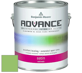 Benjamin Moore 792 Advance Interior Paint-Satin эмаль цвет 558 Killala Green