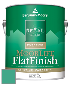 Benjamin Moore W105 Regal Select Exterior Paint-MoorLife Flat Finish краска цвет 607 Albuquerque Teal