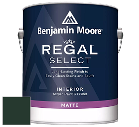 Benjamin Moore 548 IRegal Select Interior Paint - Matte краска цвет RAL 6009 