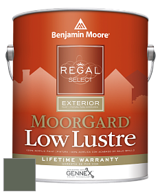 Benjamin Moore W103 Regal Select Exterior Paint-MoorGard Low Lustre Finish краска цвет AF-480 