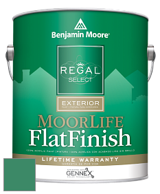 Benjamin Moore W105 Regal Select Exterior Paint-MoorLife Flat Finish краска цвет 594 Peridot