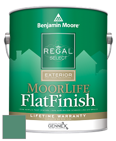 Benjamin Moore W105 Regal Select Exterior Paint-MoorLife Flat Finish краска цвет 601 Juniper Green