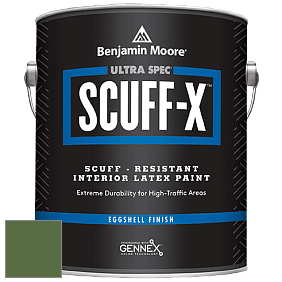 Benjamin Moore 485 Ultra Spec SCUFF-X Interior Eggshell Finish краска цвет NCS S 5040-G30Y 