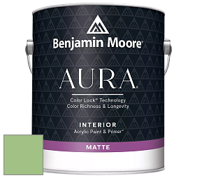 Benjamin Moore Aura 522 Interior Paint - Matte краска цвет 551 Exotic Bloom