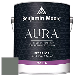 Benjamin Moore Aura 522 Interior Paint - Matte краска цвет NCS S 6005-G20Y 