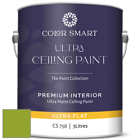 COLOR SMART CS 758 ULTRA CEILING PAINT ультраматовая краска цвет 2028-20 Douglas Fir