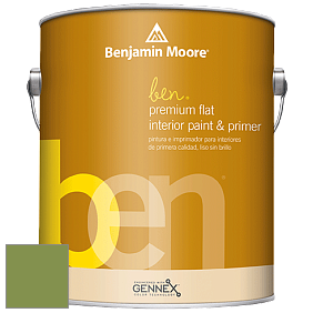 Benjamin Moore Ben W625 Premium Interior Latex Flat краска цвет NCS S 3050-G40Y 
