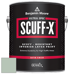 Benjamin Moore 486 Ultra Spec SCUFF-X Interior Satin Finish краска цвет NCS S 2010-G10Y 