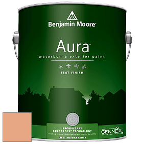 Benjamin Moore Aura 629 Waterborne Exterior Flat Finish краска цвет 2167-40 Toffee Orange