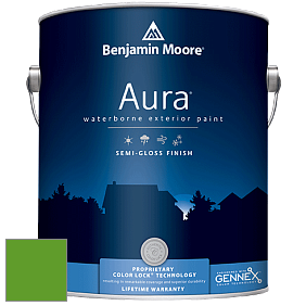 Benjamin Moore Aura 632 Waterborne Exterior Semi-Gloss Finish краска цвет 2030-10 Lizard Green