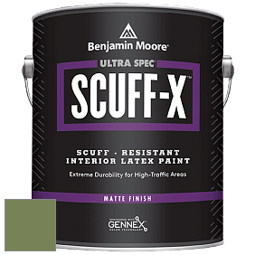 Benjamin Moore 484 Ultra Spec SCUFF-X Interior Matte Finish краска цвет 546 Courtyard Green