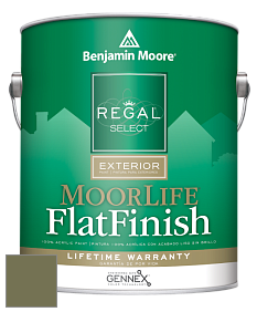 Benjamin Moore W105 Regal Select Exterior Paint-MoorLife Flat Finish краска цвет 490 Pine Brook