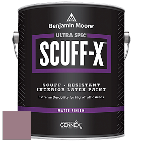 Benjamin Moore 484 Ultra Spec SCUFF-X Interior Matte Finish краска цвет NCS S 4020-R20B 