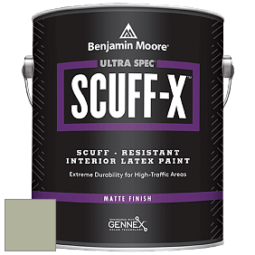 Benjamin Moore 484 Ultra Spec SCUFF-X Interior Matte Finish краска цвет AF-455 