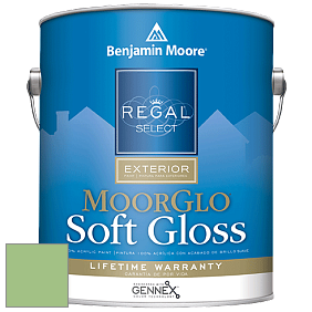 Benjamin Moore W096 Regal Select Exterior Paint-Moor GloSoft Gloss Finish краска цвет 551 Exotic Bloom