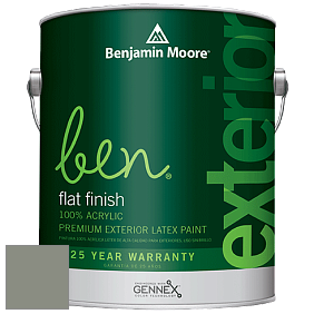 Benjamin Moore Ben 541 Waterborne Exterior Flat Finish краска цвет 2138-40 Carolina Gull
