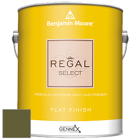 Benjamin Moore 547 Regal Select Waterborne Interior Flat Finish краска цвет NCS S 5540-G50Y 
