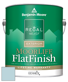 Benjamin Moore W105 Regal Select Exterior Paint-MoorLife Flat Finish краска цвет 1675 Under the Big Top