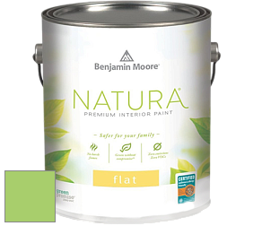 Benjamin Moore 512 Natura Interior Flat Finish матовая краска цвет NCS S 0560-G30Y 