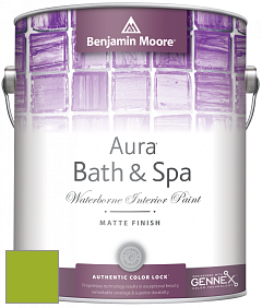 Benjamin Moore Aura 532 Bath & Spa Waterborne Interior Paint Matte Finish краска цвет NCS S 1075-G40Y 