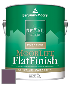 Benjamin Moore W105 Regal Select Exterior Paint-MoorLife Flat Finish краска цвет 1379 Eggplant
