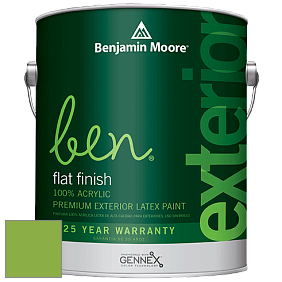 Benjamin Moore Ben 541 Waterborne Exterior Flat Finish краска цвет 420 Apple Lime Cocktail