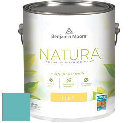 Benjamin Moore 512 Natura Interior Flat Finish матовая краска цвет 740 Harbor Side Blue