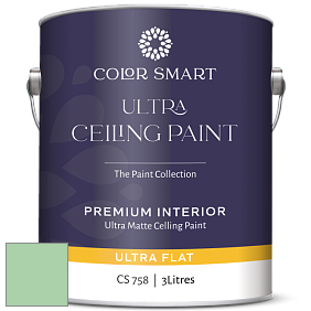 COLOR SMART CS 758 ULTRA CEILING PAINT ультраматовая краска цвет NCS S 1030-G10Y 