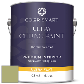 COLOR SMART CS 758 ULTRA CEILING PAINT ультраматовая краска цвет 538 Vienna Green