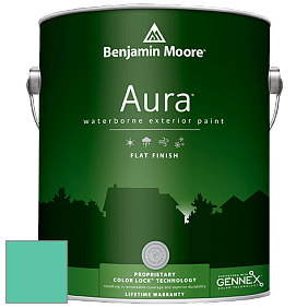 Benjamin Moore Aura 629 Waterborne Exterior Flat Finish краска цвет 2046-40 Green Sponge