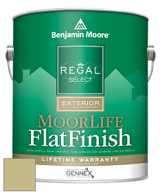 Benjamin Moore W105 Regal Select Exterior Paint-MoorLife Flat Finish краска цвет 529 Sweet Daphne