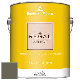 Benjamin Moore 547 Regal Select Waterborne Interior Flat Finish краска цвет 1498 Forest Floor