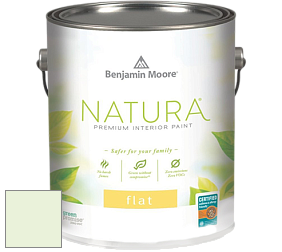 Benjamin Moore 512 Natura Interior Flat Finish матовая краска цвет 2030-70 Iced Mint
