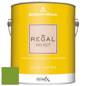 Benjamin Moore 547 Regal Select Waterborne Interior Flat Finish краска цвет 2029-20 Baby Fern