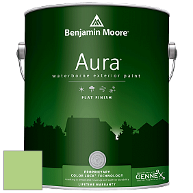 Benjamin Moore Aura 629 Waterborne Exterior Flat Finish краска цвет 557 Leprechaun Green