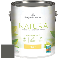 Benjamin Moore 512 Natura Interior Flat Finish матовая краска цвет 1484 Ashwood Moss